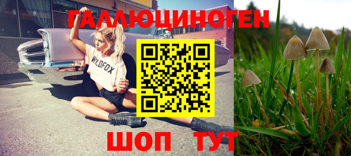 Полысаево  Псилоцибиновые грибы прущие грибы  Вход с VPN 