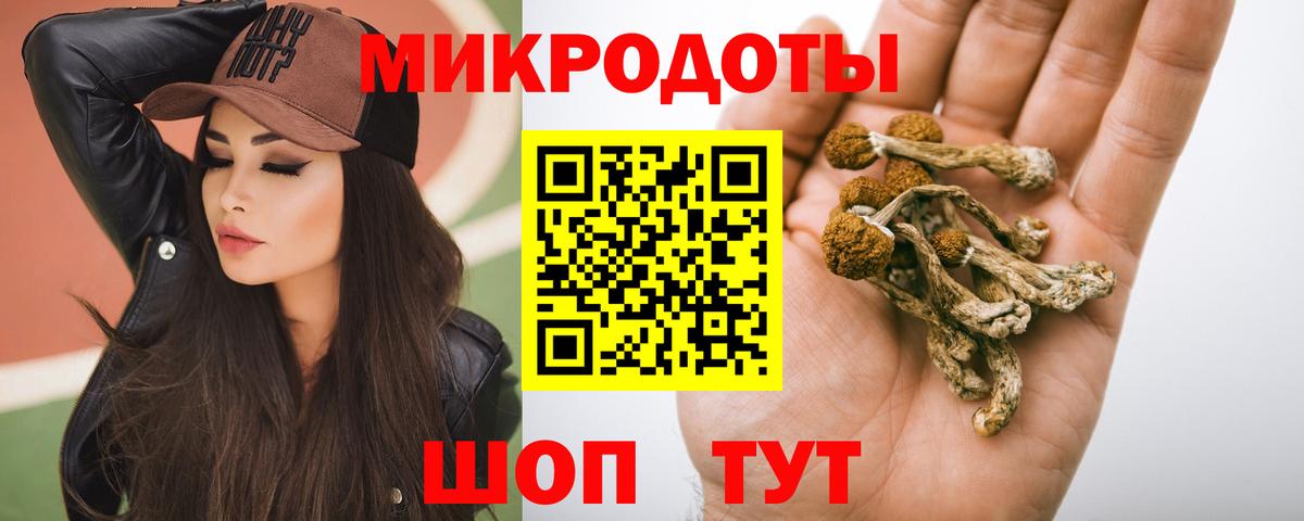 Псилоцибиновые грибы MAGIC MUSHROOMS Полысаево